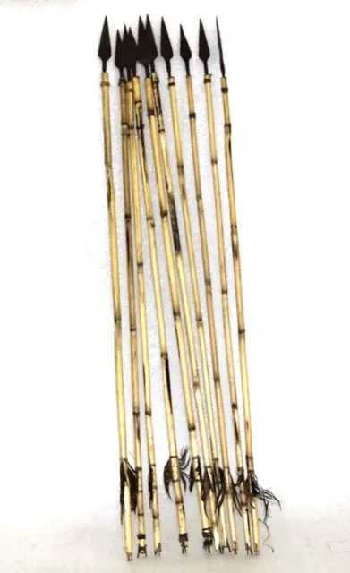 Set di 10 frecce con arco in bambù per tiro con l'arco in vera piuma...