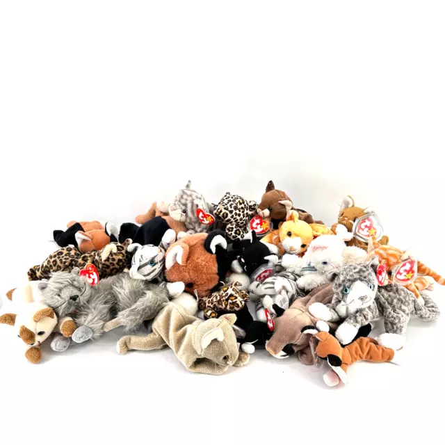 Ty Beanie Babies All Cats 21 Piece Lot Large Regular Small Sizes Tabby Leopard