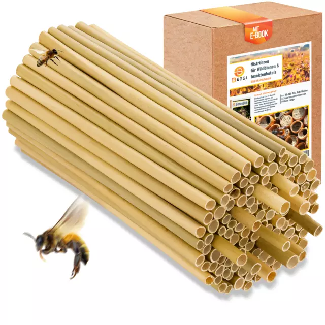 BEESI 500x Bambusgras 14 cm lang für Insekten- Bienenhotel I Durchmesser 3-7 mm