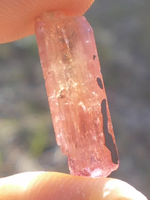 1 Rare Cristal Naturel de Topaze Impérial Pêche Rosée  10 cts  !!  (Brésil)