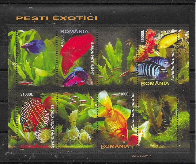 RUMÄNIEN/ Fische MiNr Block 351 **