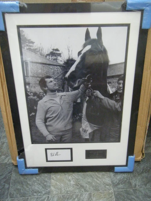 Bob Champion Signed Framed Photo Memorabilia Horse Racing / Jockey
