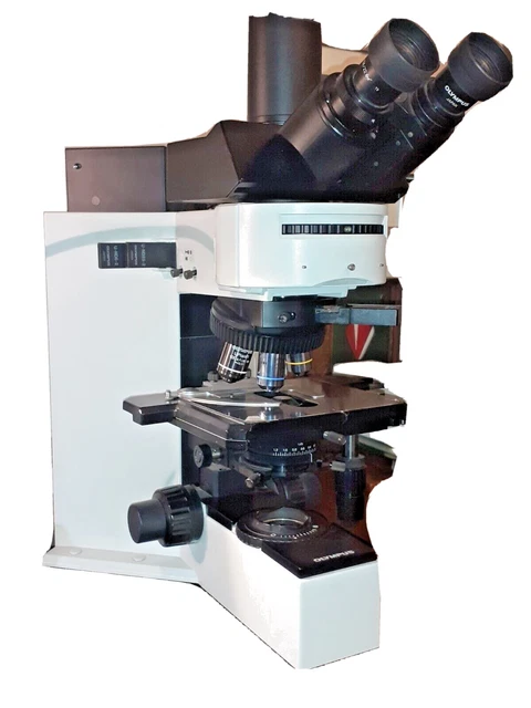 MICROSCOPIO OLYMPUS BX60 fluorescenza e campo chiaro completo EUR 4.250 ...