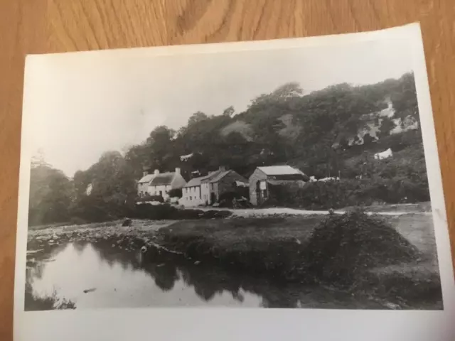 Photograph from Original Glass Plate, Parkmill, Swansea, South Wales 1893