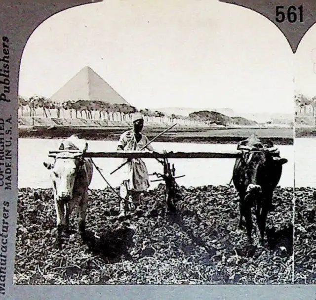 Pyramid Peasant Plowing Ox Team Nile Egypt Photograph Keystone Stereoview Card