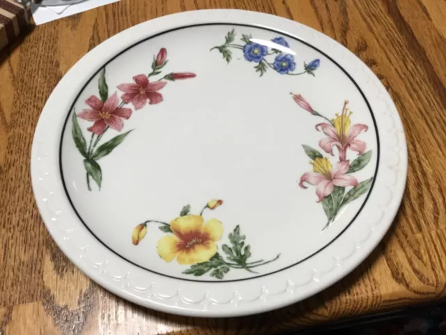 vintage southern Pacific RaiPrairie Mountain Wildflower 91/2" dinner plate RRBS