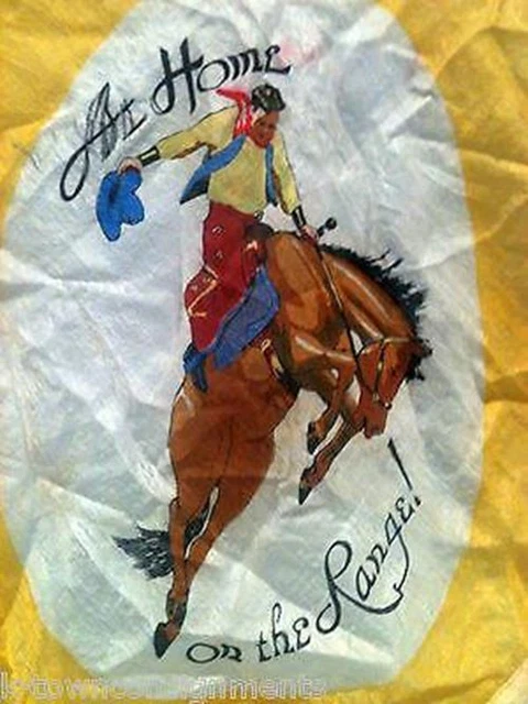 Home on the Range Western Americana Bucking Bronco Cowboy Silk Scarf Wall Hang