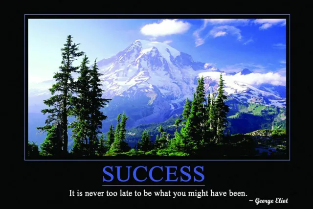 Motivational Inspirational Success Wall Print Poster 20x30