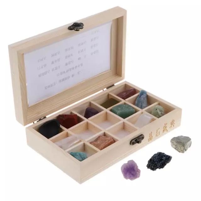 15PCS Rock and Mineral Educational Collection & Collection