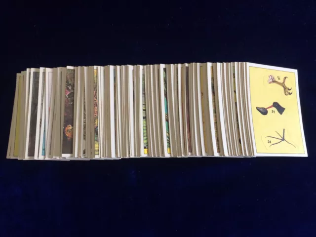 Rare Figurine Panini Birds Unused Album Stickers Pick Or Choose Your Numbers