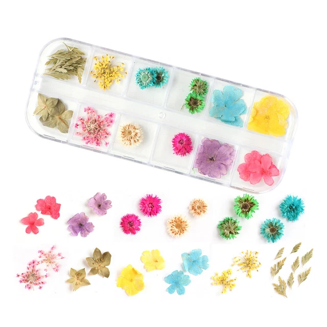 Applique per unghie conservate e durature squisiti adesivi nail art plastica