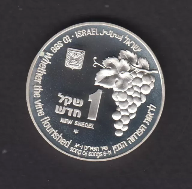 ISRAEL 1 NEW SHEQEL  Song of Songs  SILVER COIN 1995