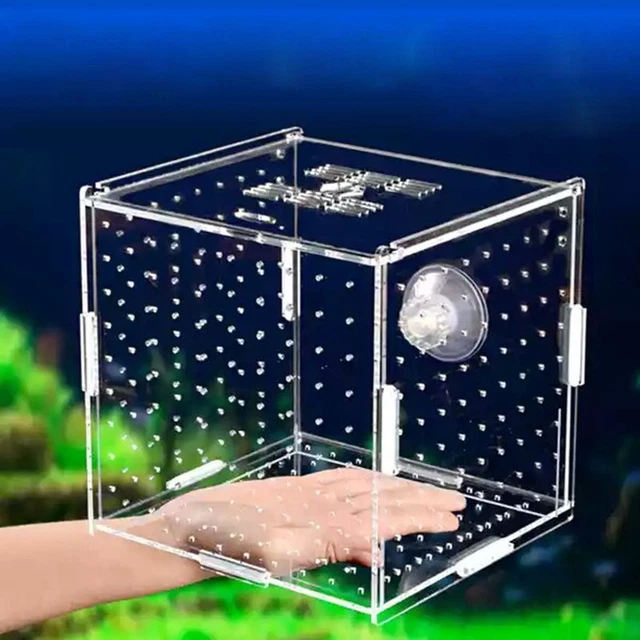 Aquarium Isolation Box - Transparent Acrylic Small Fry Breeding Double Fish Tank
