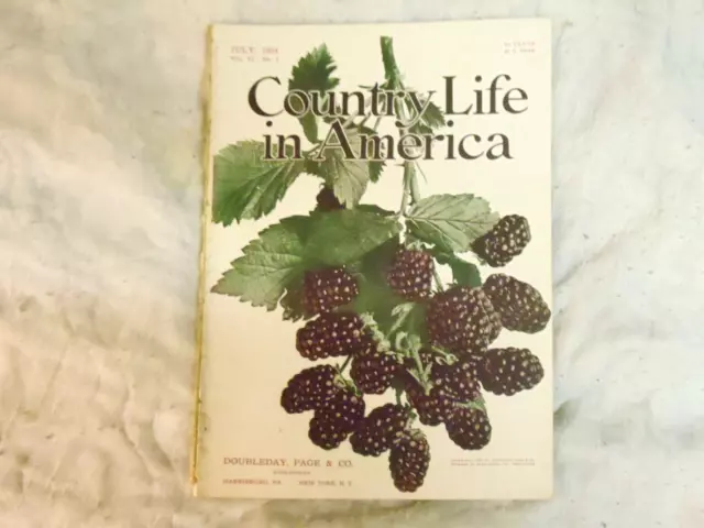 Country Life in America Magazine  July 1904