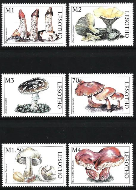 Lesotho - Pilze aus aller Welt Satz postfrisch 1998 Mi. 1300-1305