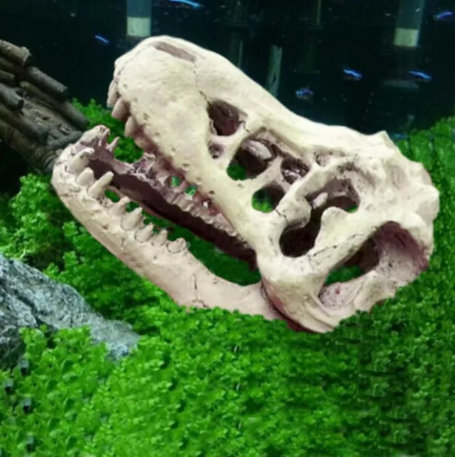 Aquarium Terrarium Fish Tank Dinosaur Crocodile Skull Bone Resin Ornament Decor