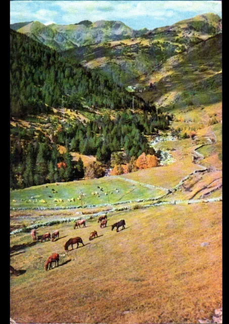 VALLS ANDORRA / SOLDEU (ANDORRE) CHEVAUX en PATURAGE / avec beau timbre en 1960