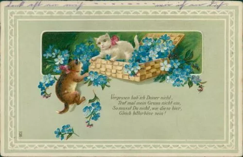Ansichtskarte Prägekarte um 1910 (Nr.9888) Katzen Blumen Veilchen