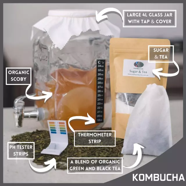 4L Deluxe Kombucha Brewing Kit, Organic Scoby, glass Dispenser Best Kit in OZ