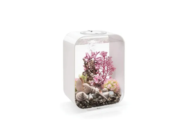 biOrb Life 15 Acrylic 4-Gallon Aquarium with Multi-Color Remote-Controlled LE...