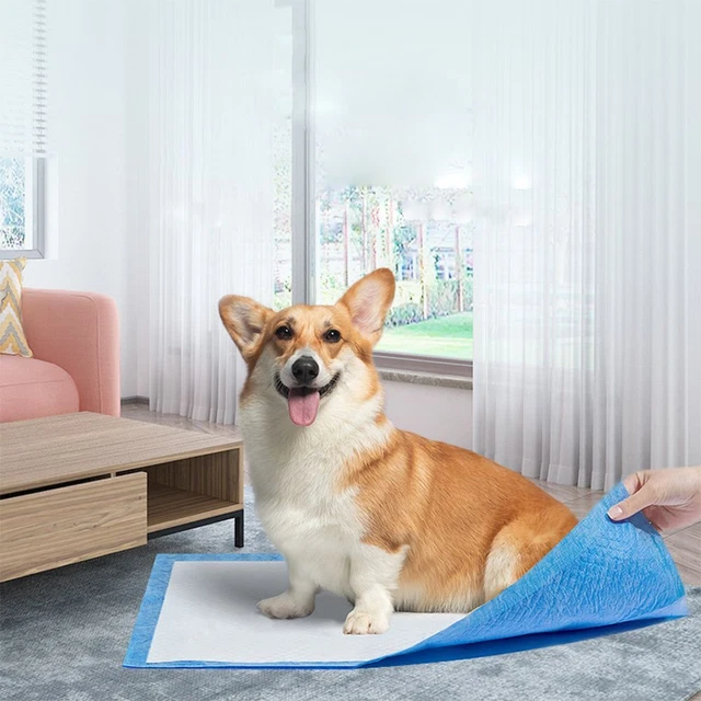 Venal para mascotas Accesorios para perros grandes Alfombra de pañal orina Perros entrenamiento Almohadilla de orina