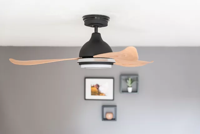 Lampe LED Variateur Lumière DC Ventilateur de plafond Télécommande Bayu Noir 2