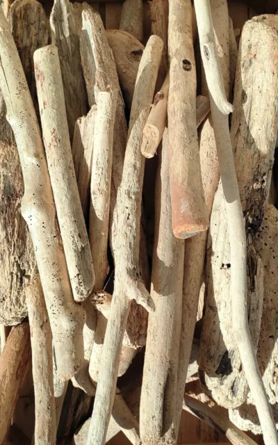 10pz Legni di mare naturali spiaggia driftwood per acquario shabby e bricolage