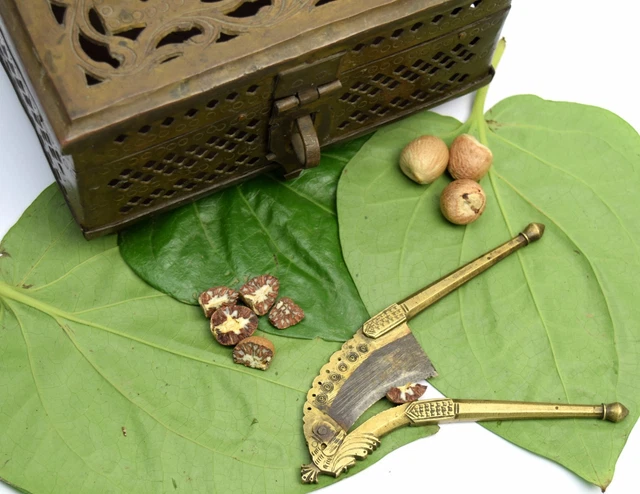 Nice Collectible antique brass betel nut cutter handcrafted home décor.i12-67