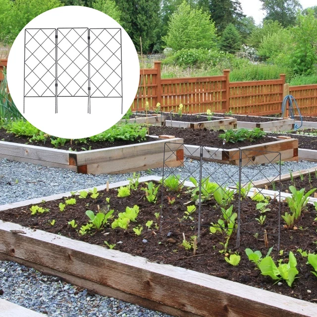 Gartenschnalis -Unterstützung für Klettern: Faltbare Steckdose Reben Blumen