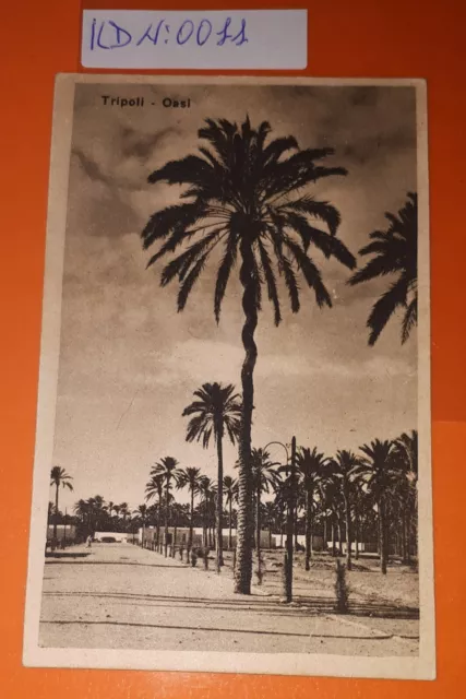 Cartolina Tripoli - Ossi  Non Viaggiata Piccolo Formato Condizioni Come Da Foto