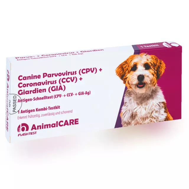 Canine Parvovirus CPV + Giardien GIA Antigen Test Schnelltest