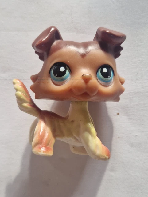 Figurine petshop original chien dog colley collie 363 à Dammarie Les Lys | Clasf jeux
