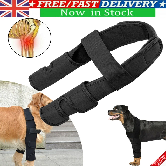 Paw Arthritis Elbow Wrap Splint Protector Dog Front Leg Support Foot Anti-injury