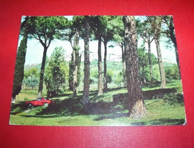 Cartolina Chiaromonte Panorama dalla pineta Savino 1991