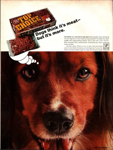 1967 Top Choice Dog Food Ad    Irish Setter Dog puppy nostalgia a3