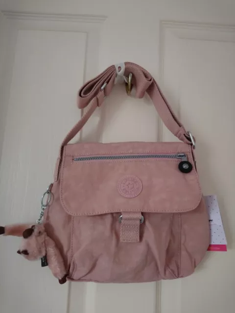 Kipling hotsell raisin bag