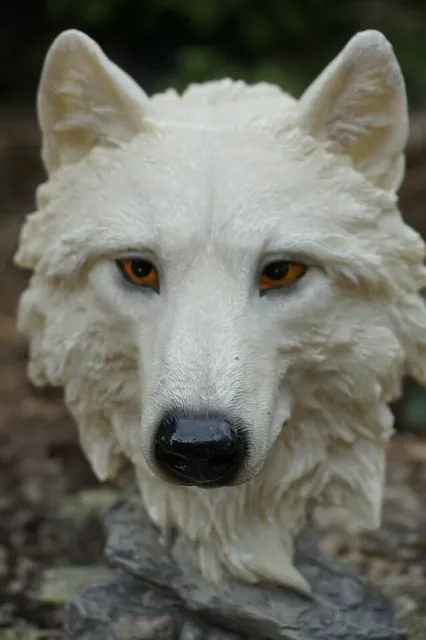 P881.163  Superbe Buste Tete Figurine  Statuette  Loup   Blanc Wolf