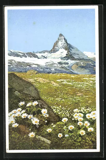 Artist AK Photochromy No. 1473: Zermtt, Gorner Ridge, Meadow with Alpine Usury