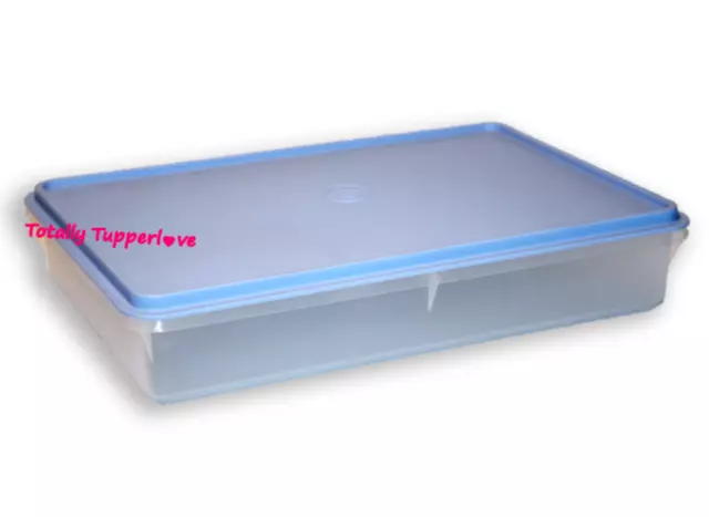 https://www.picclickimg.com/SyMAAOSwbyxlOISd/Tupperware-Snack-N-Stor-Large-Keeper-Rectangle-Container.webp