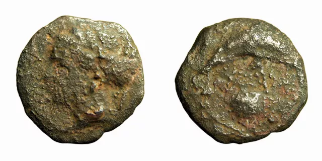 ANCIENT GREEK COIN Dionysios I Syracuse AE15mm Arethusa / Dolphin Shell ...
