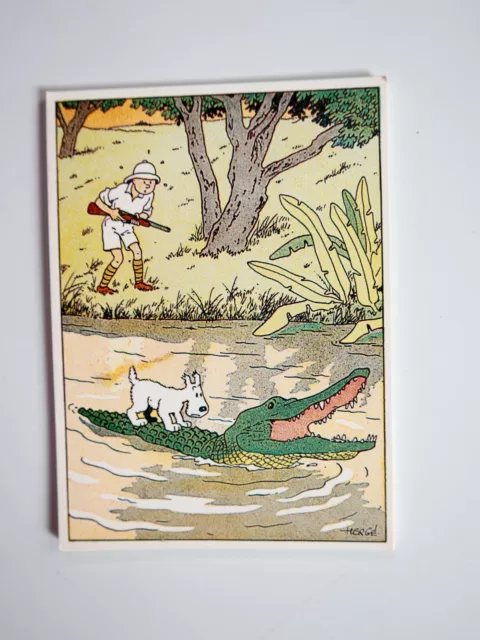 HERGE Tintin CP carte postale Milou sur crocodile