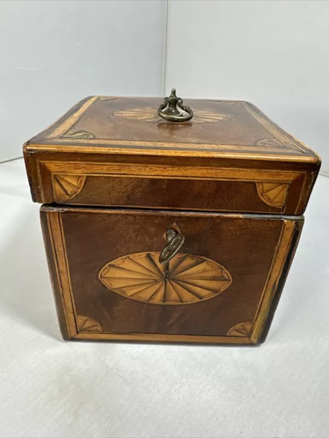 Antique 1700s Sheraton Georgian Harewood Inlaid English Tea Caddy Shell Inlay