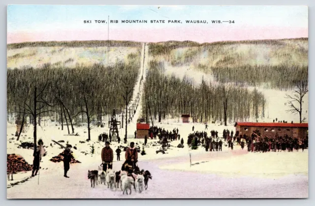Wausau Wisconsin~Rib Mountain State Park in Winter~Ski Tow~Dog Sled~Linen PC