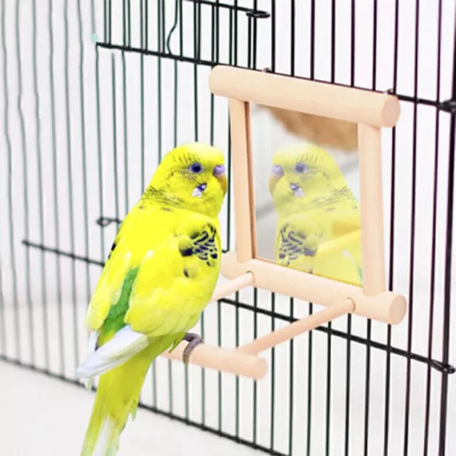 Vogelspiegel mit Barsch Vogelbarsch Spiegel Spielzeugständer Vogelspielzeug S6W9