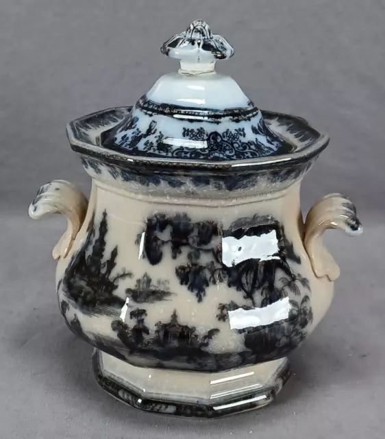 British Asian Oriental Scene Flow Black Transferware Sugar Circa 1840-1860
