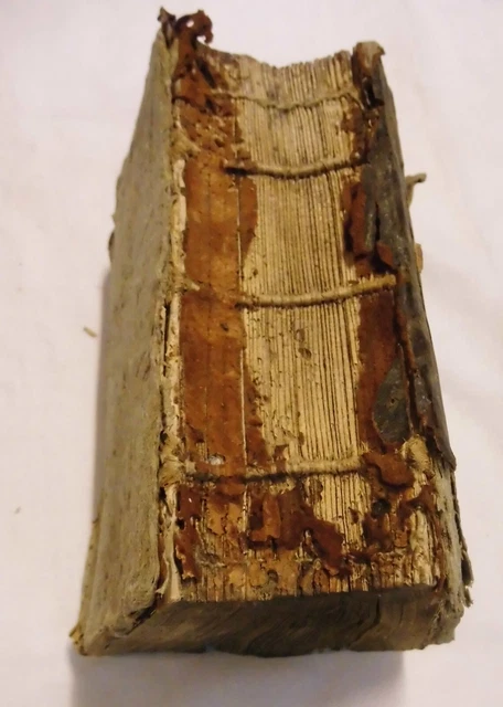 Anantomisches Handbüchlein 1752