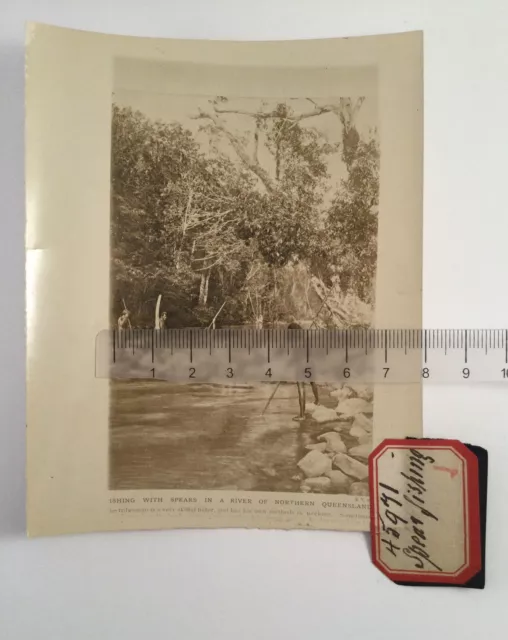 OLD EARLY PHOTO AUSTRALIAN ABORIGINAL FISHING with SPEARS QUEENSLAND AUSTRALIA