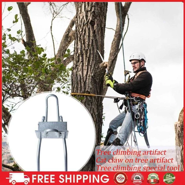 Tree Climbing Tool Spur Multifunktion Pole Climbing Spikes Schuhe (Silber)