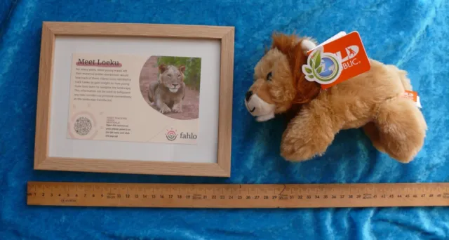 Fahlo picture and Wild Republic lion soft toy