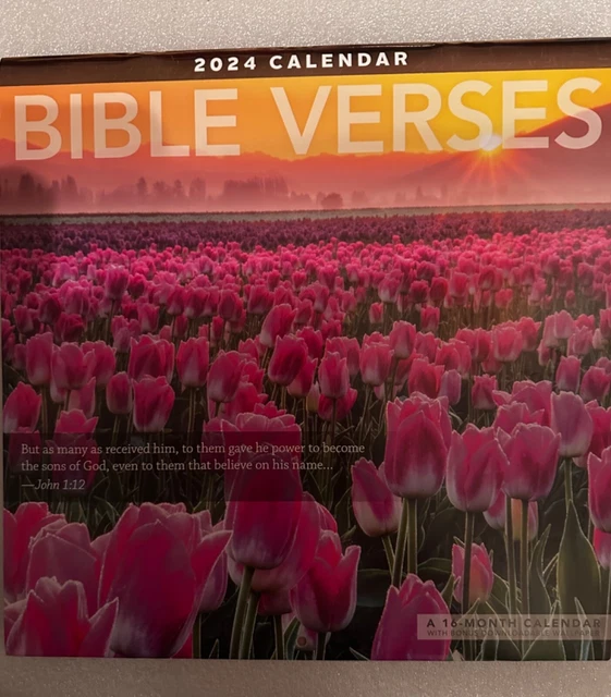 2025 BIBLE VERSES 20232025 Wall Calendar 12 x 24 Inspirational